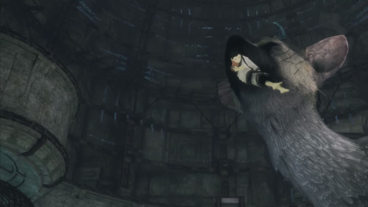 Trico biting the boy in the last guardian