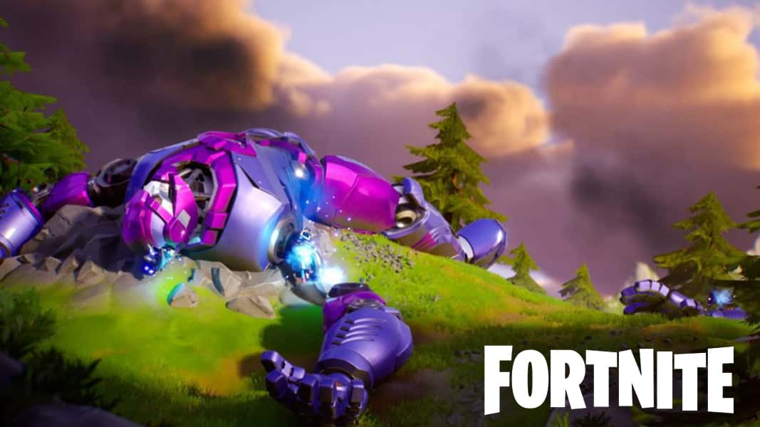 Fortnite sentinel on ground