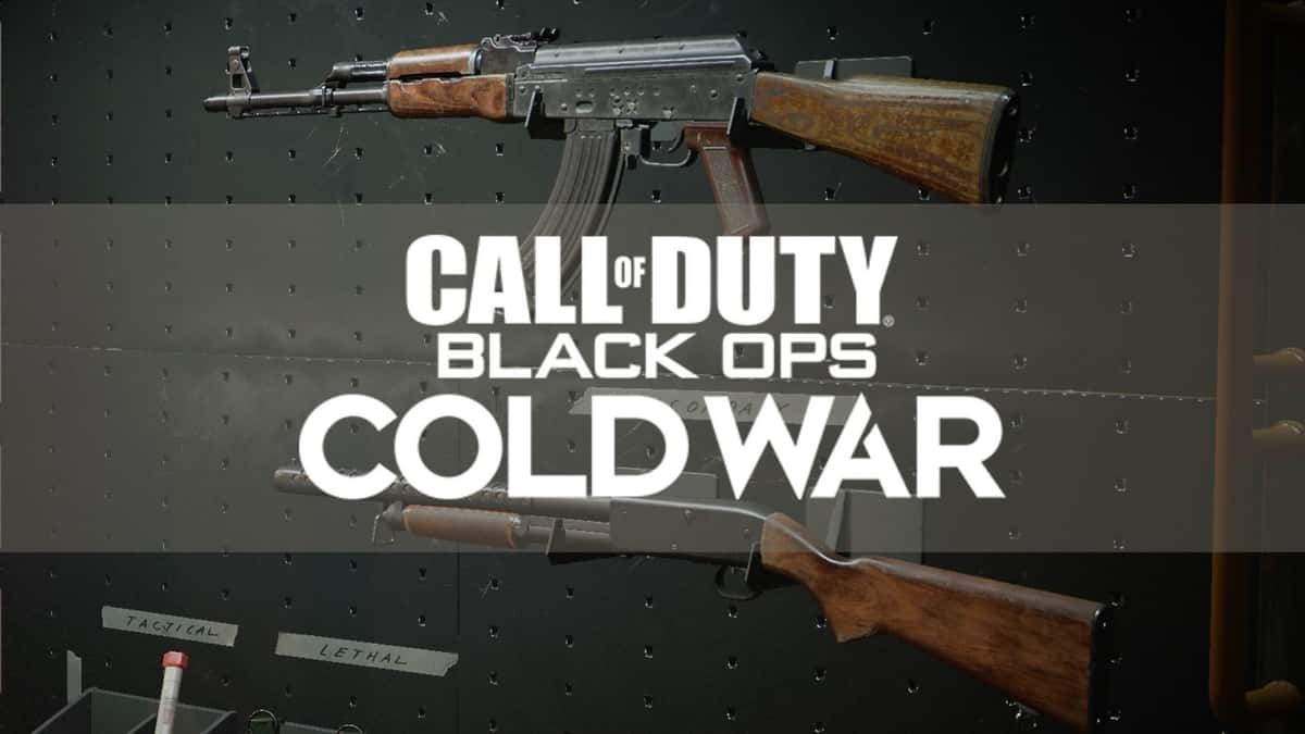 Black Ops Cold War weapons