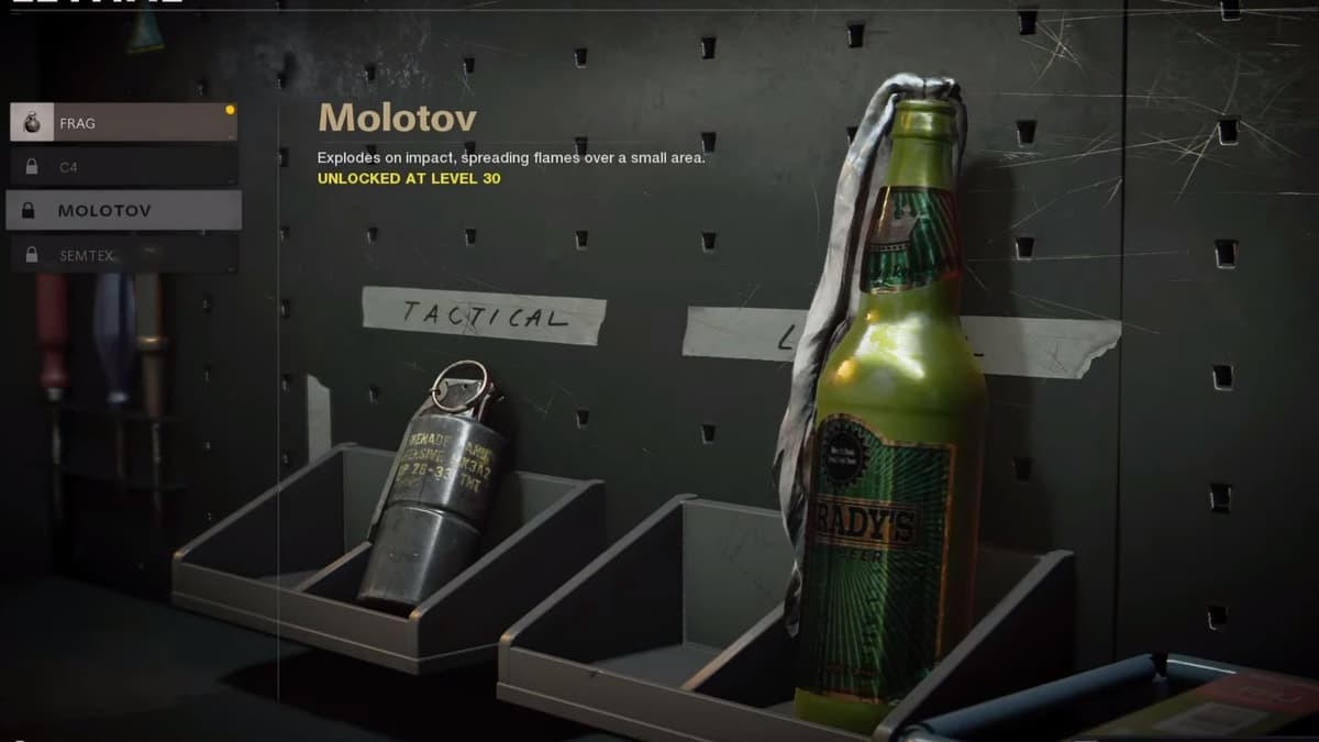 molotov in cod black ops cold war