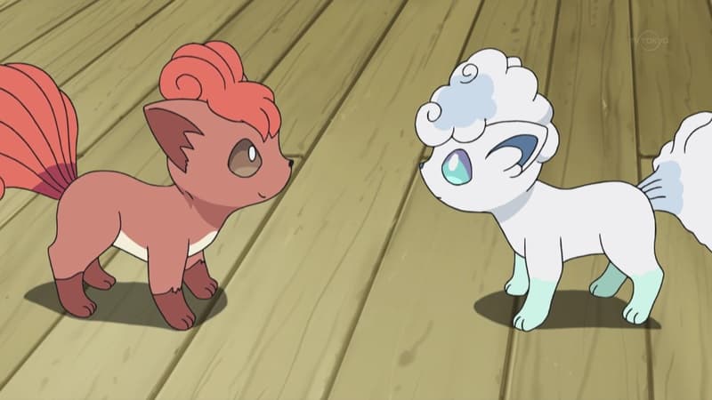 Vulpix Little Cup