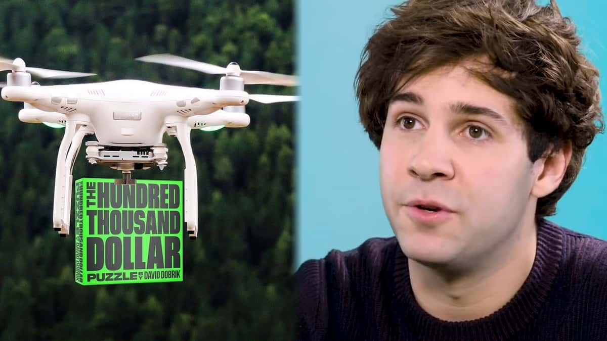 David Dobrik 100k puzzle accused of gambling