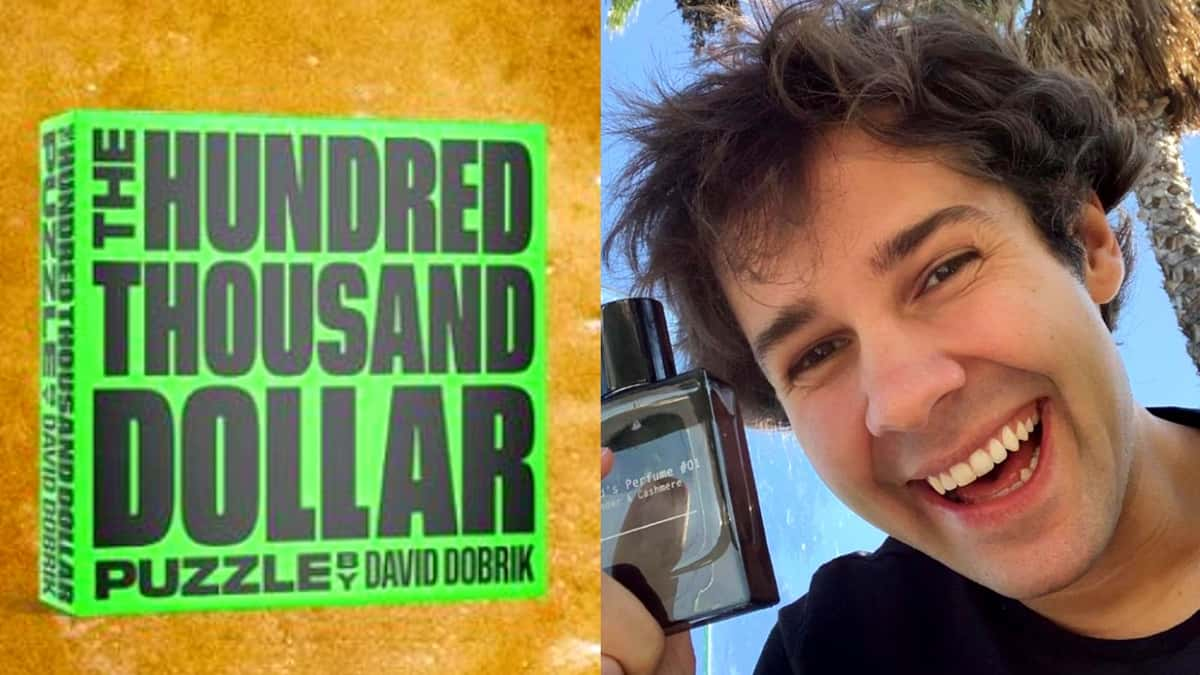 David Dobrik alongside image of his $100k puzzle