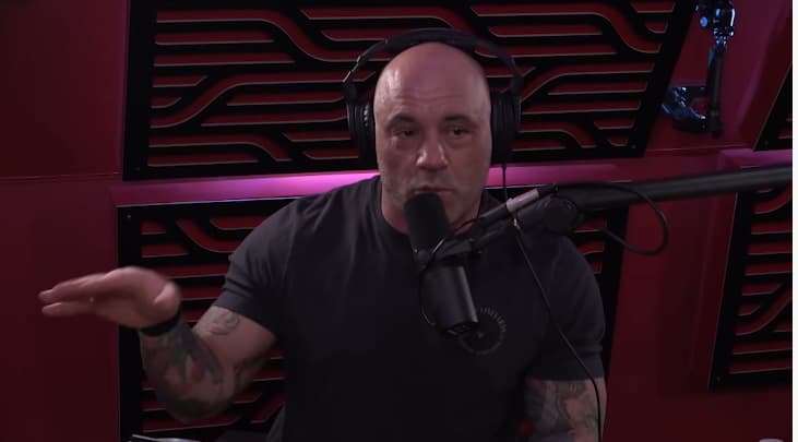 Joe Rogan talks on his podcast