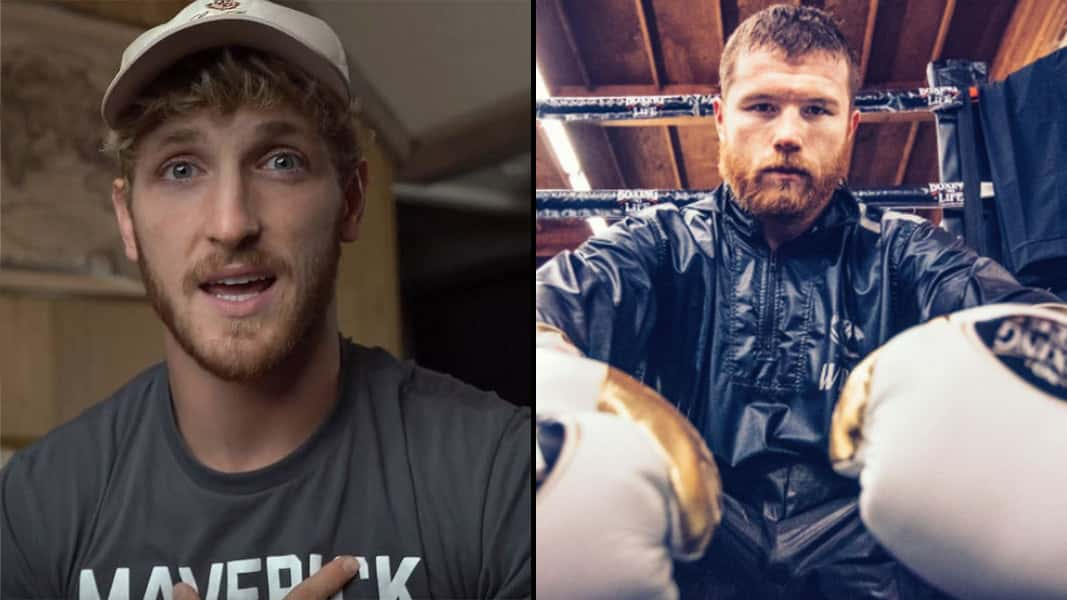 Logan Paul and Canelo Alvarez in boxing gloves