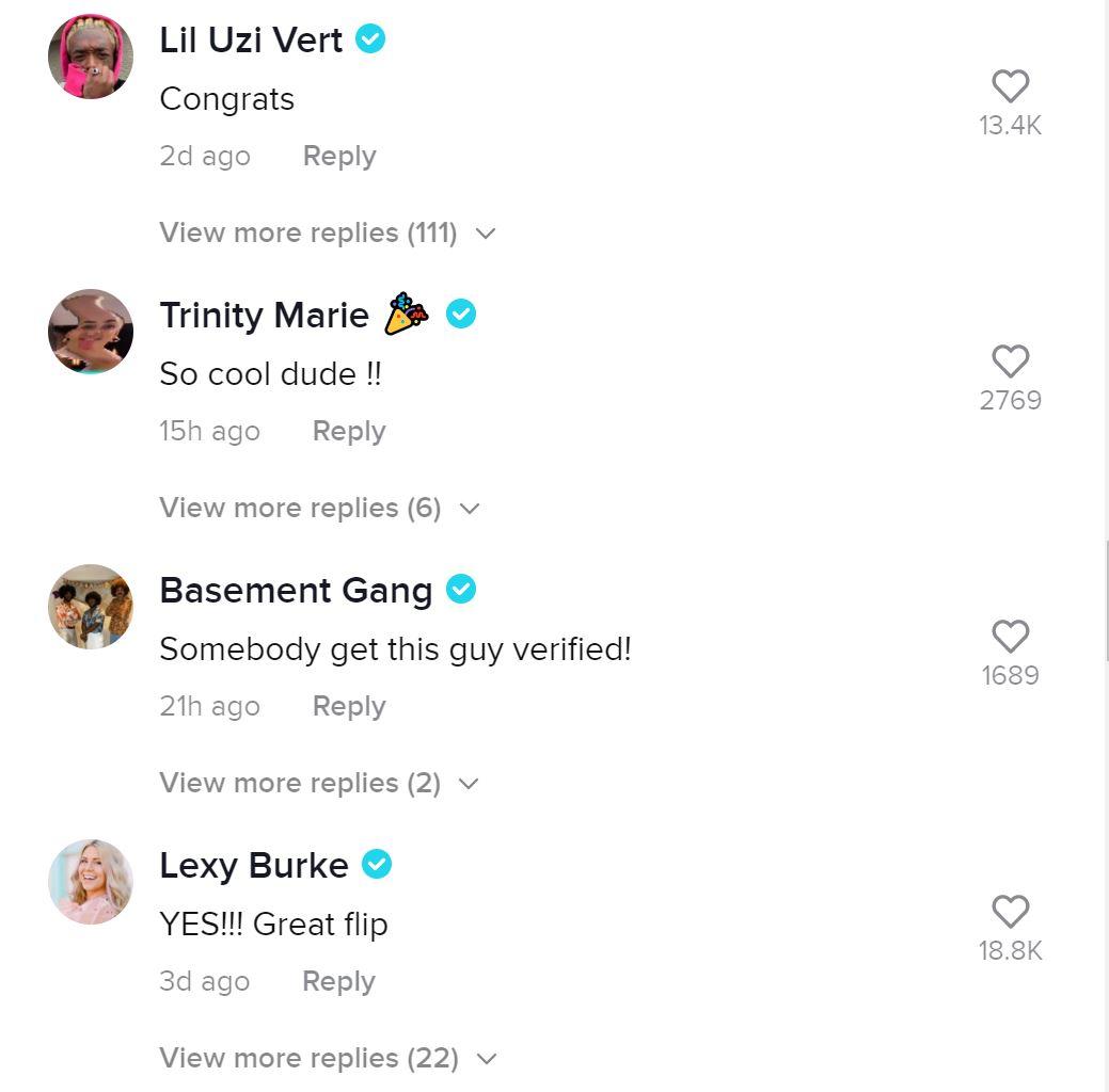 Comments under btwdude's viral TikTok.