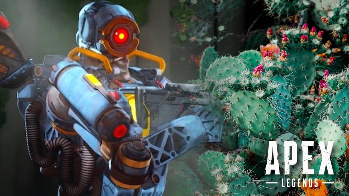 pathfinder apex legends cactus cowboy