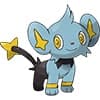 Shinx Cat Pokemon