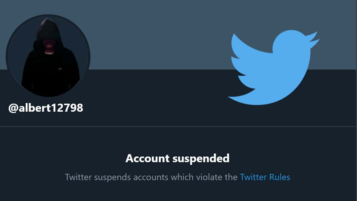 Albert banned from Twitter