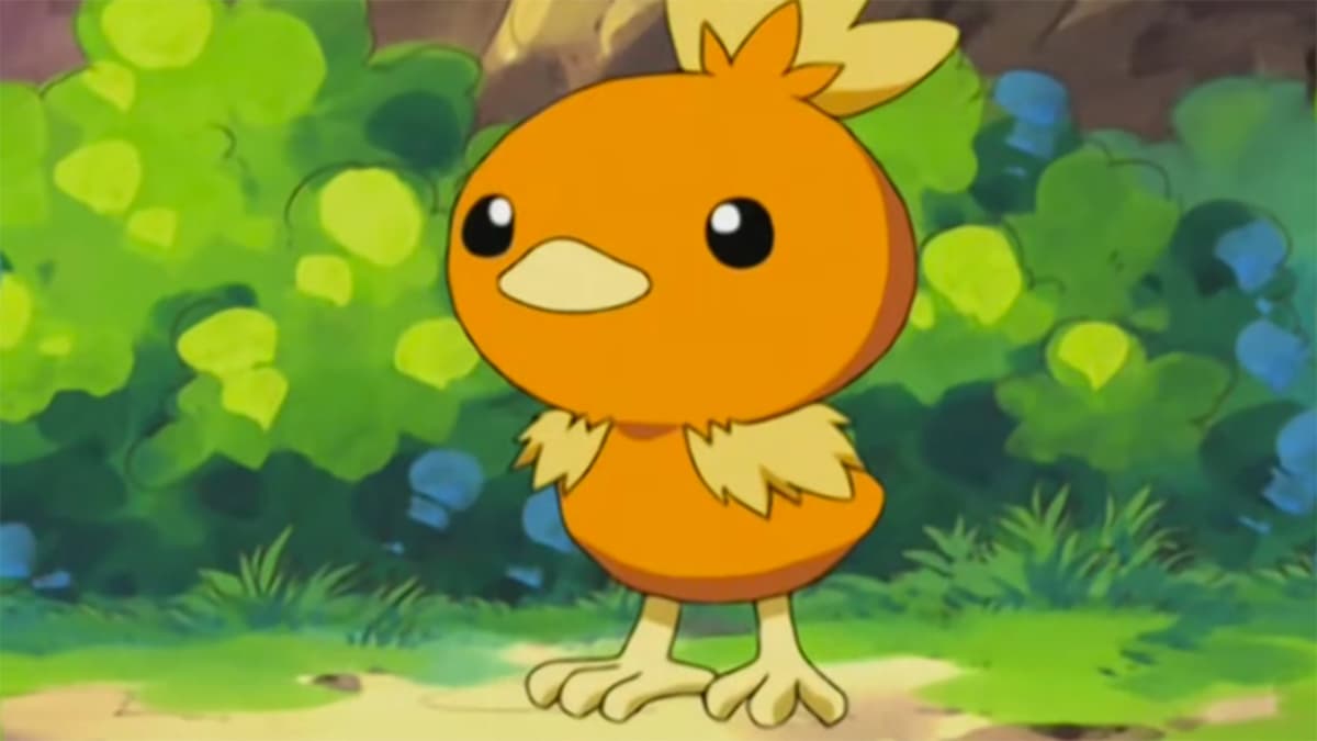 Torchich in the Pokemon anime