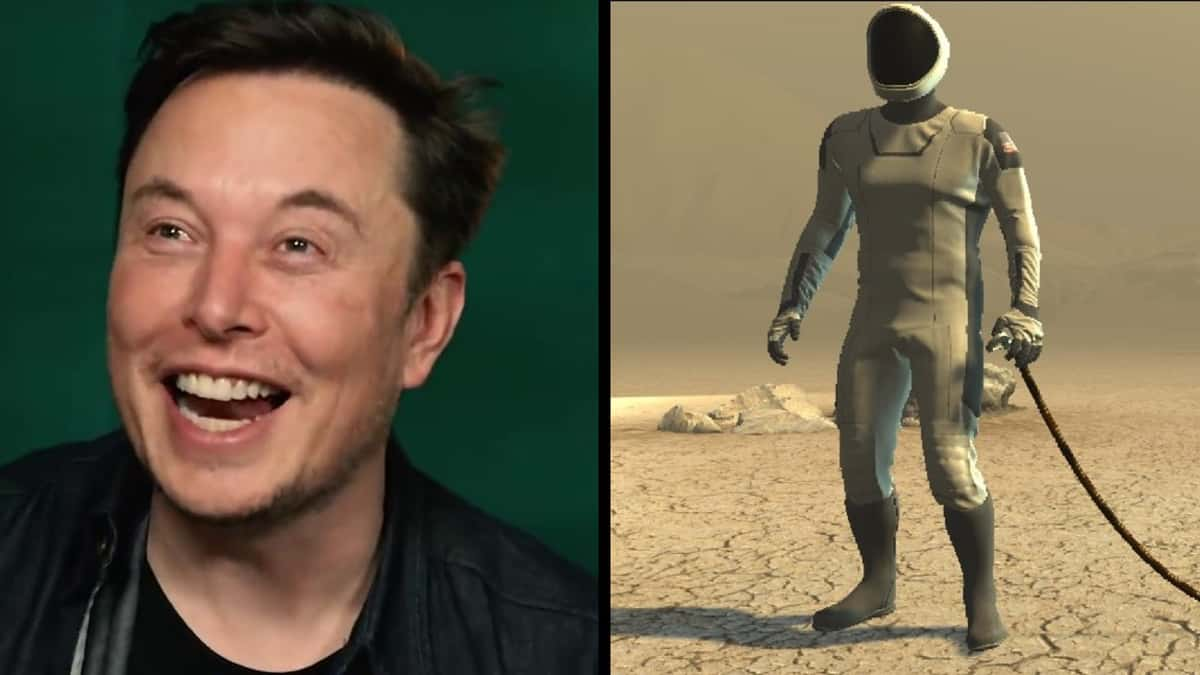 elon musk laughing