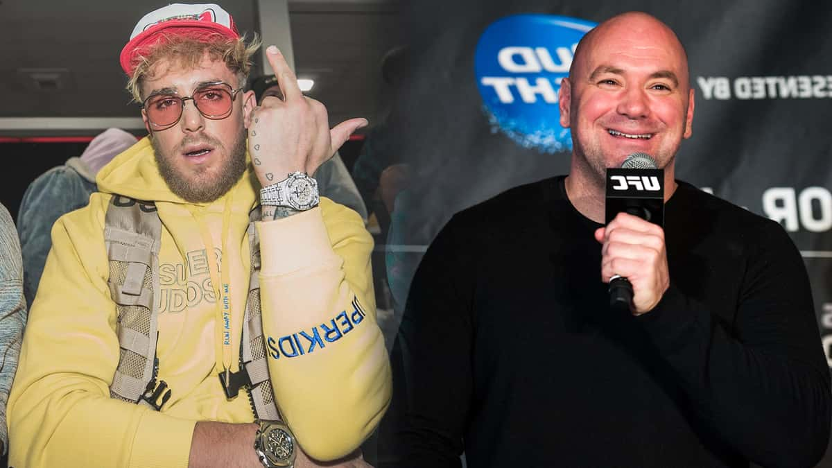 Jake Paul Dana White UFC