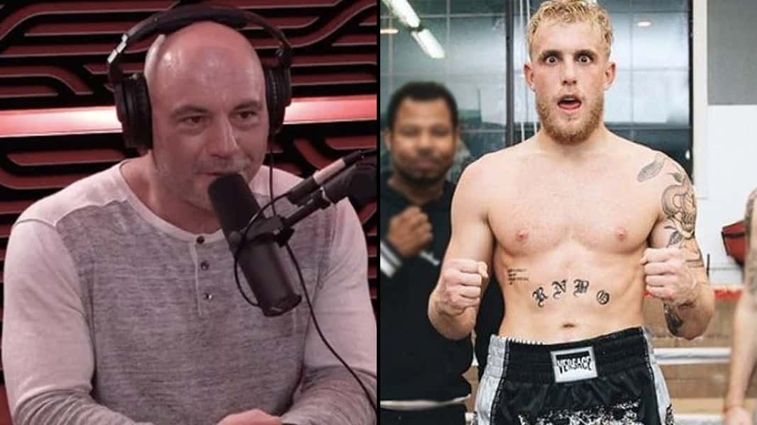 Joe Rogan side-by-side with Jake Paul in boxing gear