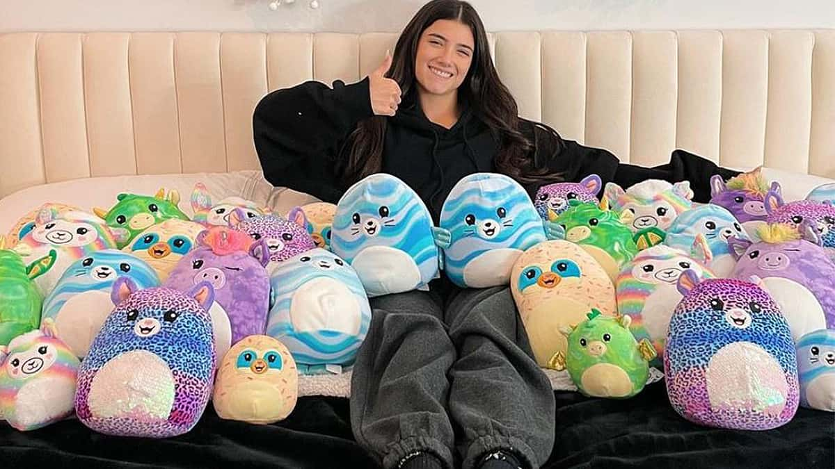 Charli D'Amelio under fire for Squishmallow collection