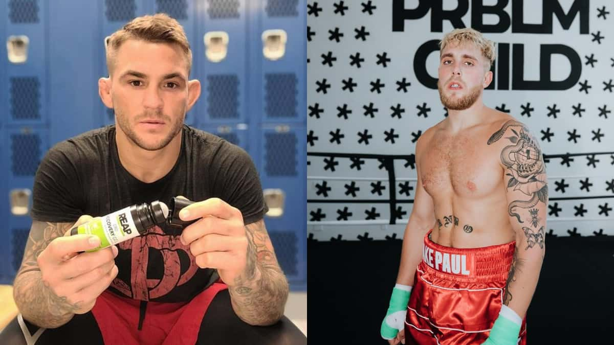 dustin poirier and jake paul