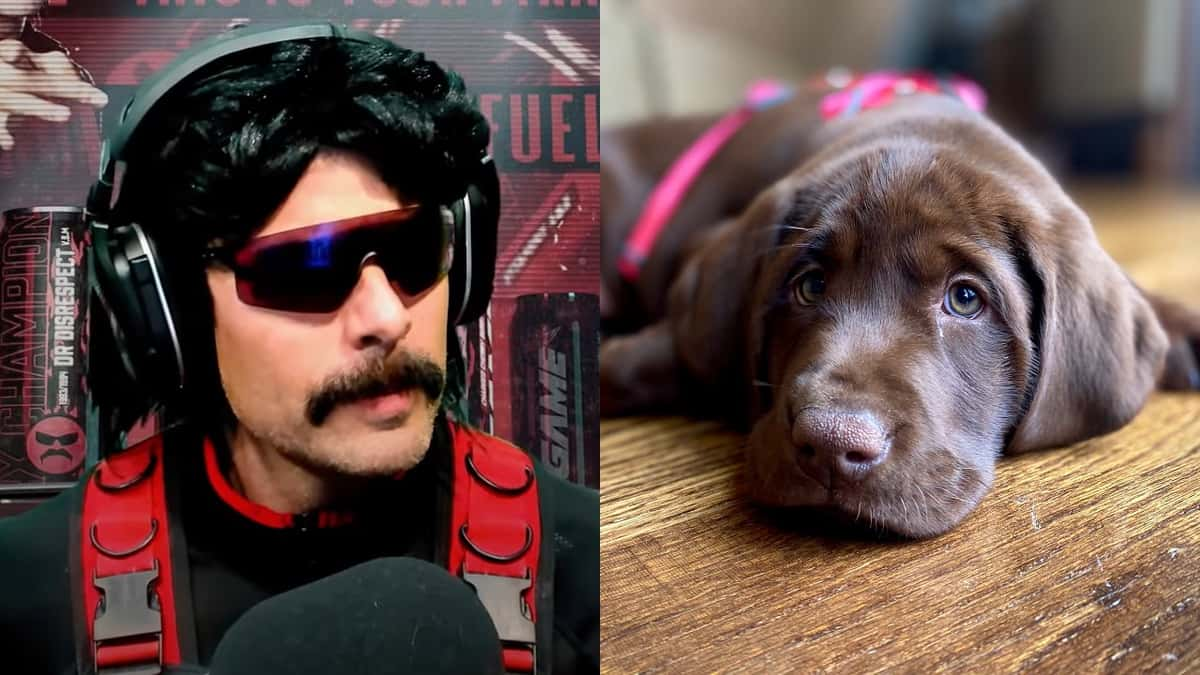 Dr Disrespect puppy