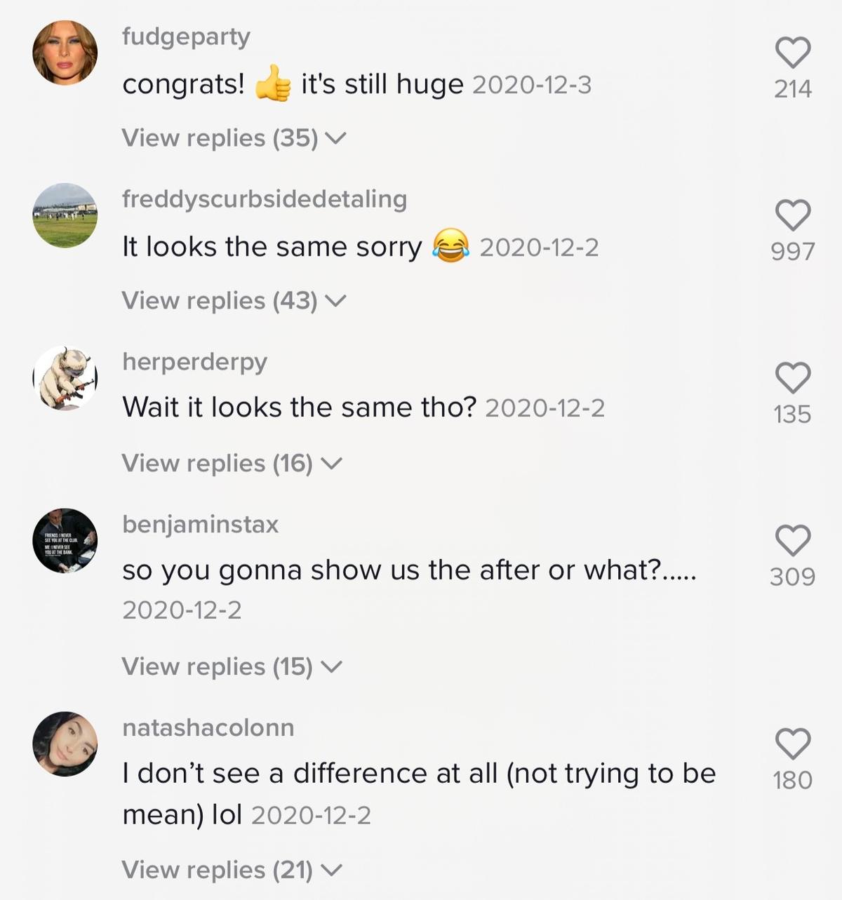 Screenshot showing a TikTok comment section