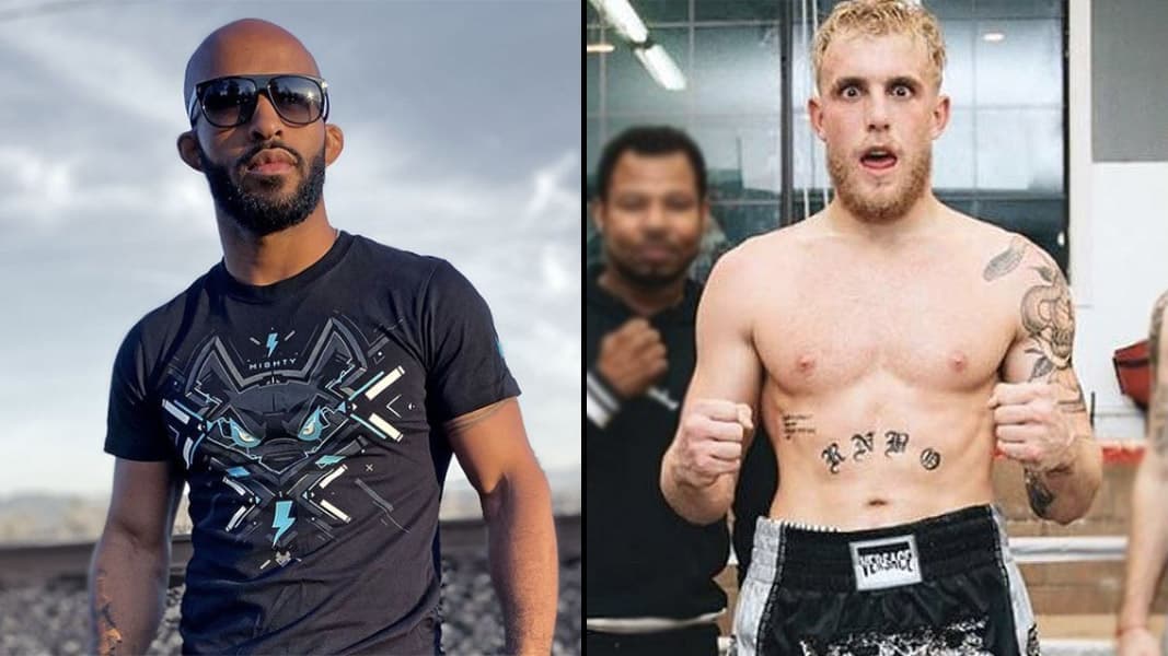 Demetrious Johnson and Jake Paul in boxing gear