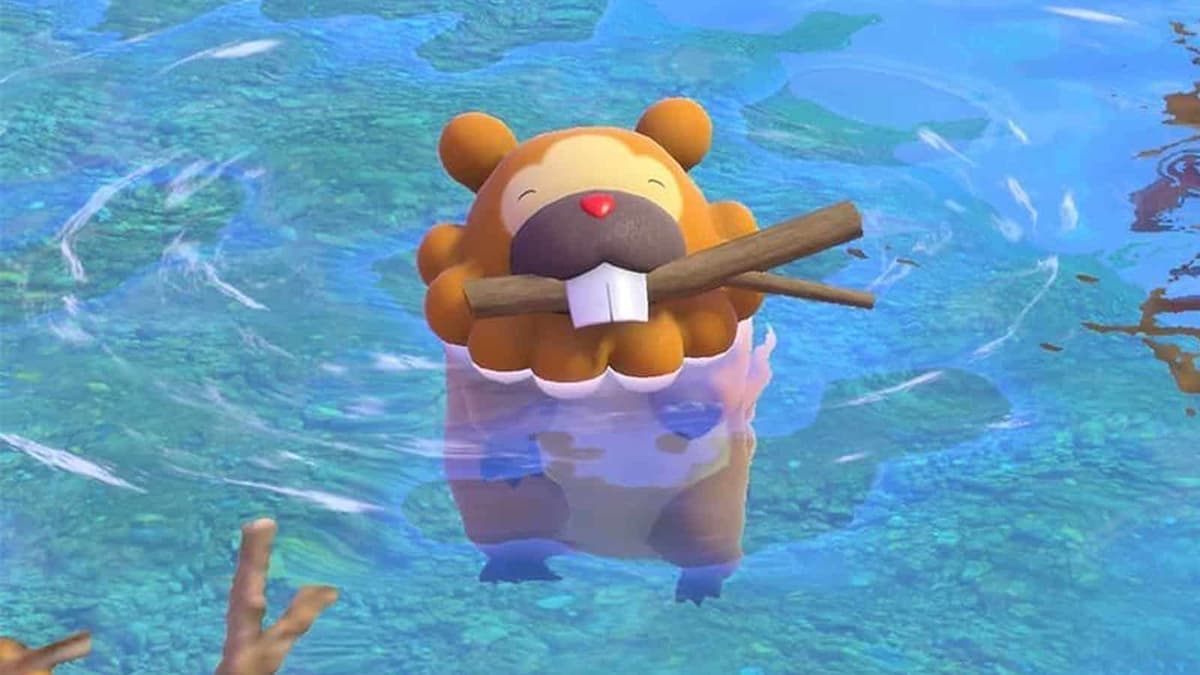 bidoof in new pokemon snap