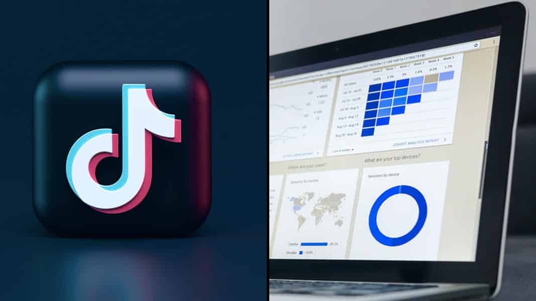 TikTok logo and an audit