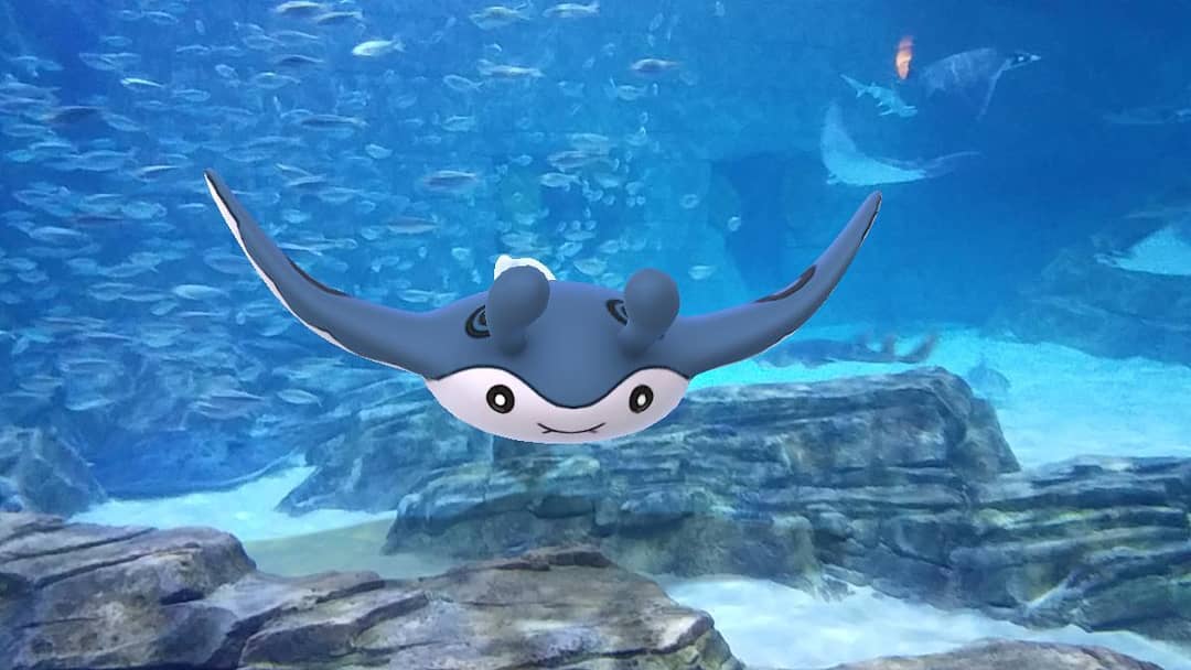 Mantine pokemon go