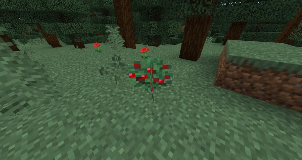 Sweet berry minecraft 