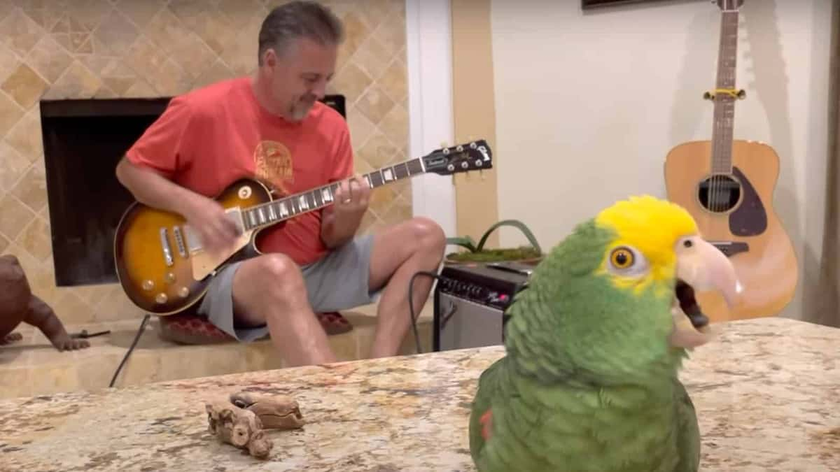 Frank Maglio and singing bird Tico