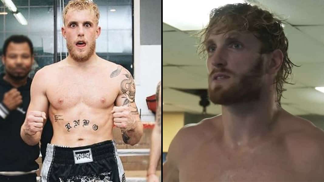 Jake Paul and Logan Paul in boxing gear