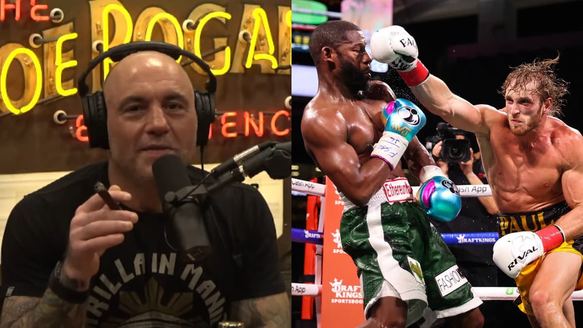 Joe Rogan watches Logan vs Mayweather fight