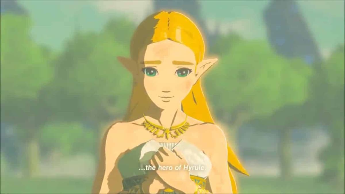 princess zelda in the legend of zelda breath of the wild