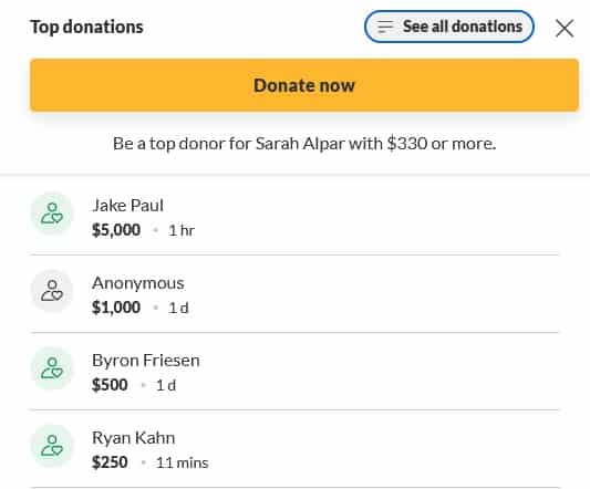 Jake Paul UFC donation