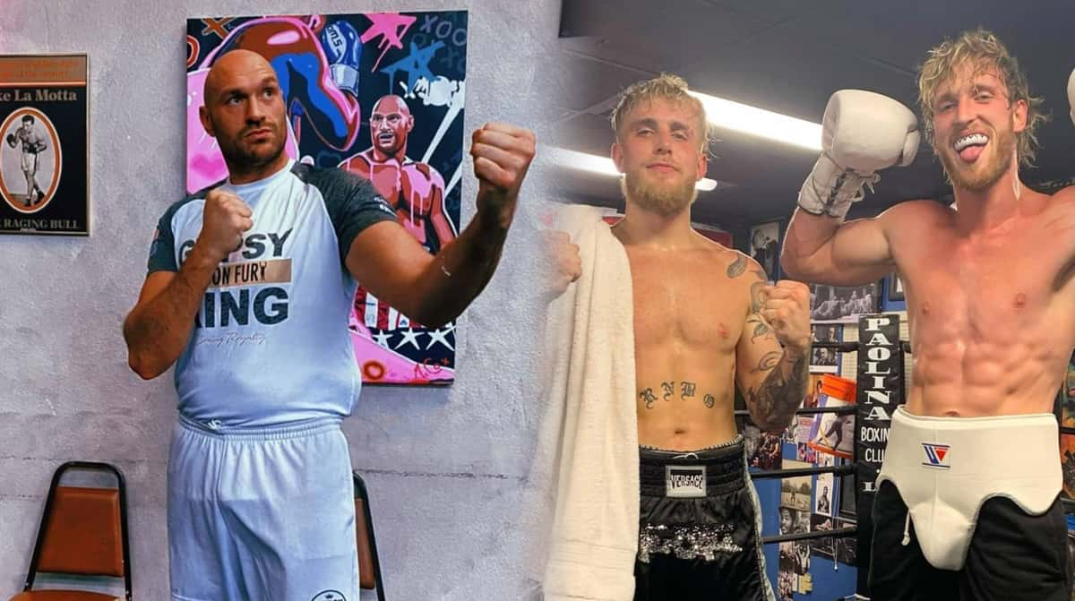 Tyson Fury Jake Paul Logan Paul