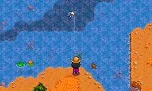 stardew valley fishing spot