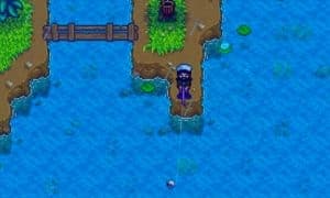 stardew valley fishing spot