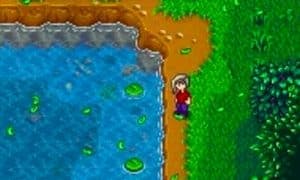 stardew valley fishing spot