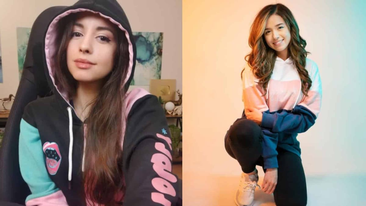 Sweet Anita and Pokimane speak out