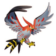 Talonflame