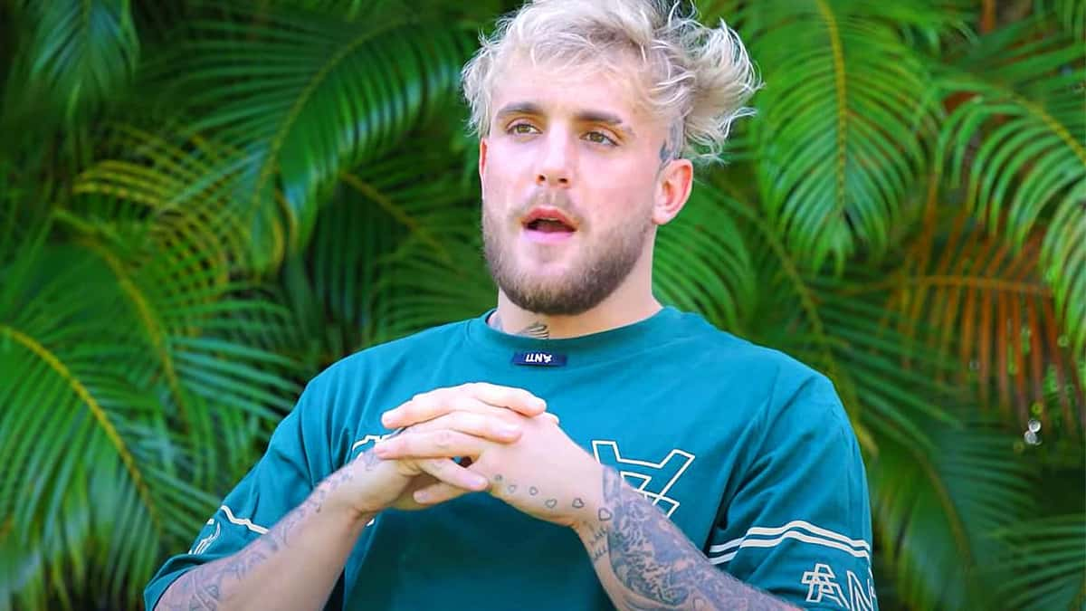 Jake Paul past bullying boxing bullies