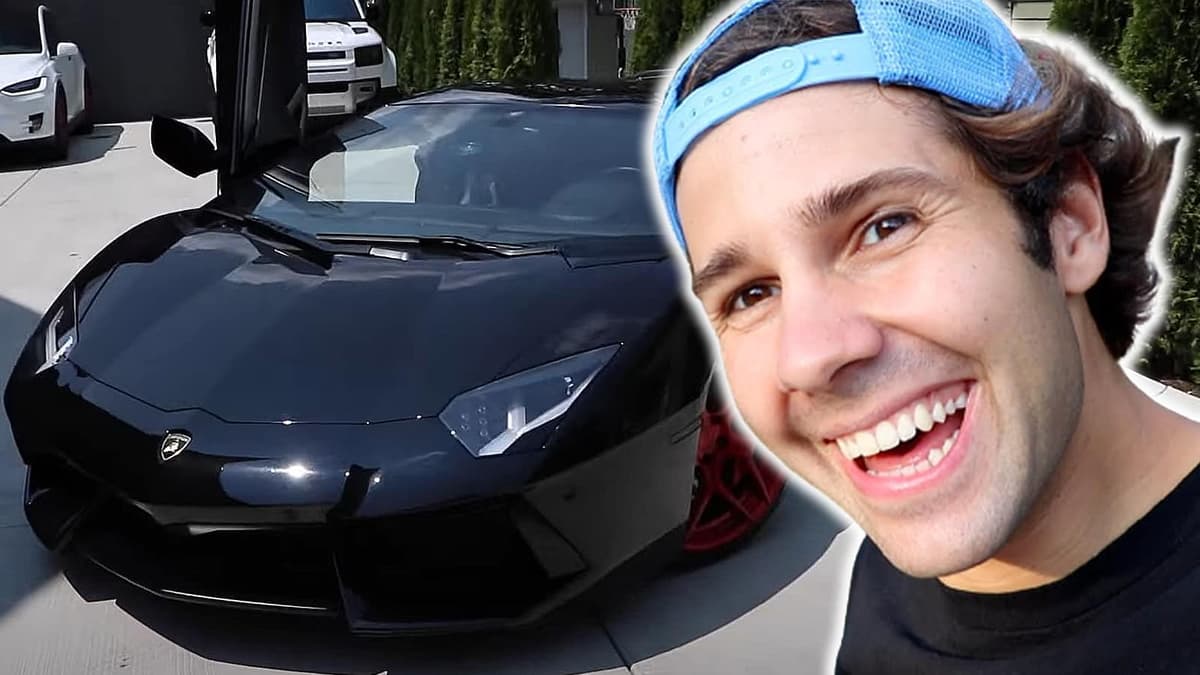 David Dobrik vlog squad pulled over toilet