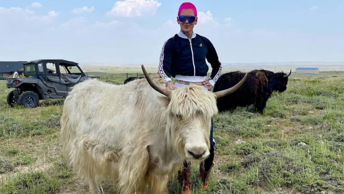 Jeffree-Star-Yak-Ranch