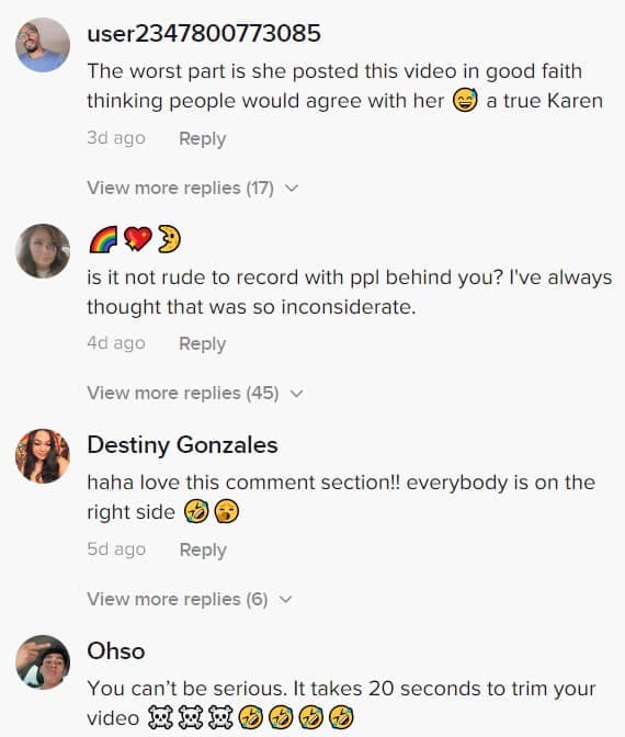 Screenshot of TikTok comment section