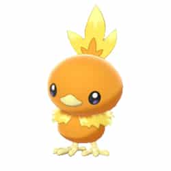 Torchic