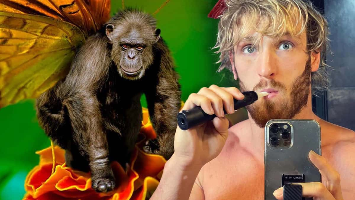 Logan Paul under fire for stealing Adobe Stock images in new NFT 'scam