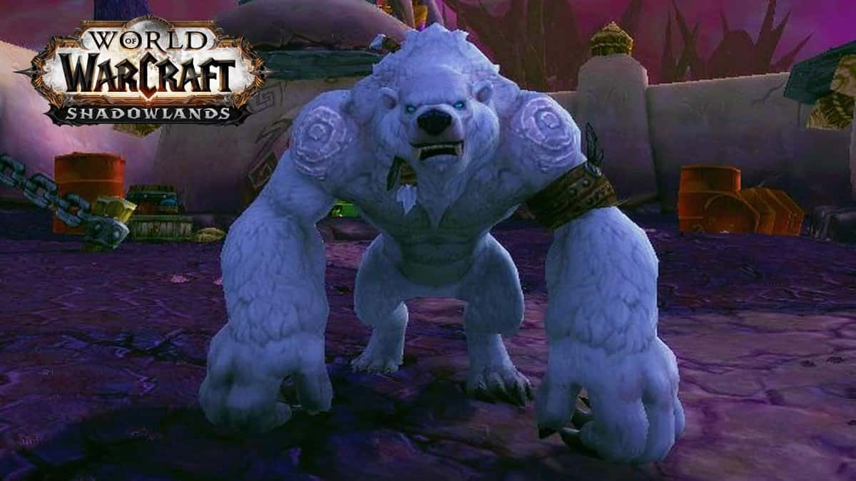 WoW Mage Tower Legion white werebear druid skin