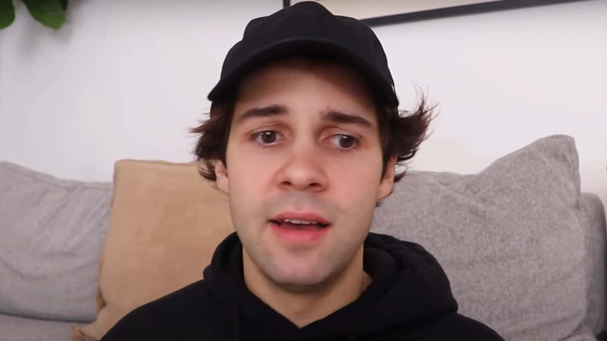 david dobrik