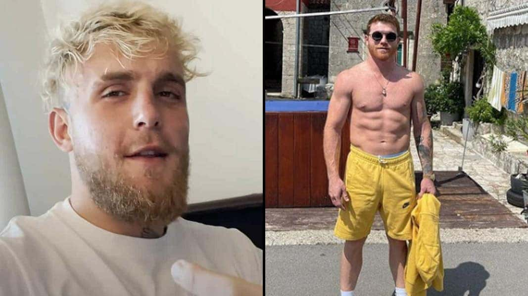 Jake Paul and Canelo Alvarez