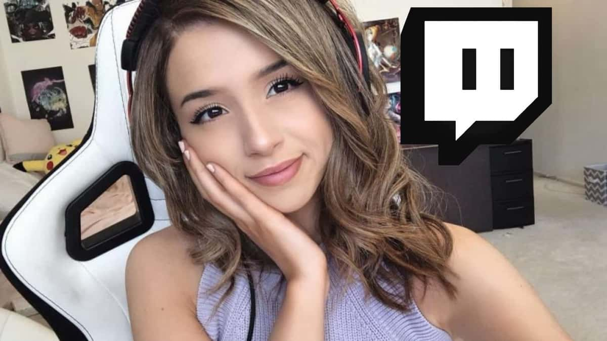 Pokimane Twitch earnings leaked