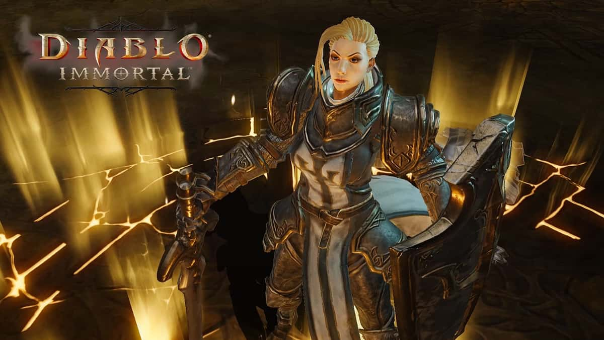 A Crusader from Diablo Immortal