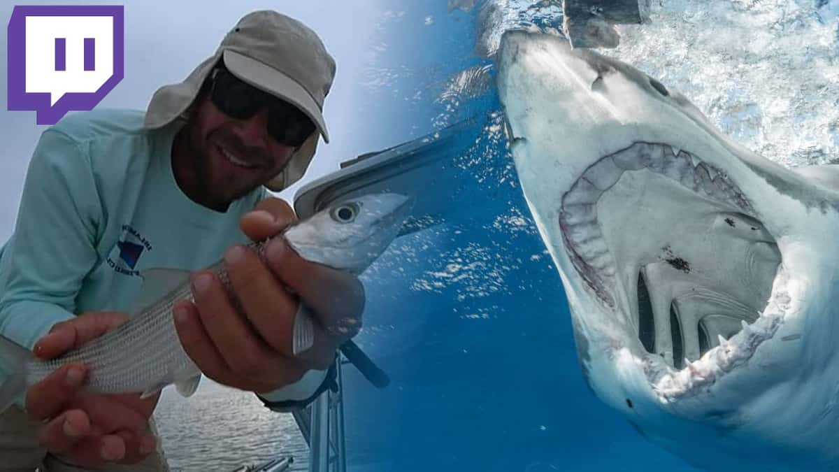 Twitch Streamer Fishing Bite Close Encounter Barracuda Final