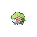 Brilliant Diamond & Shining Pearl Shaymin profile image